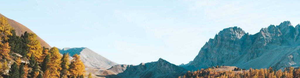 searching for the best water bottle